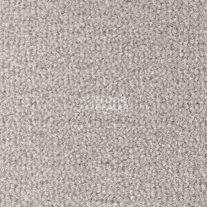 Ковролин Radici Forum Nuvola 2124 фото 1 | FLOORDEALER
